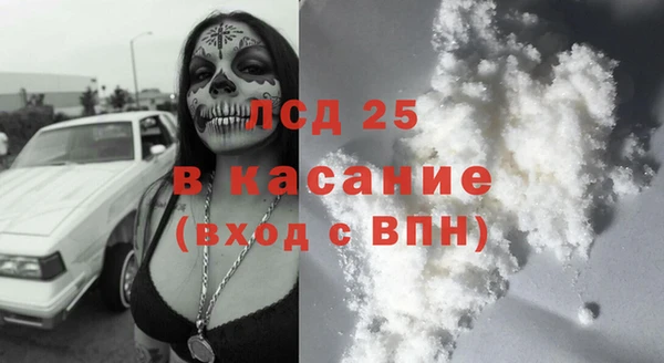 сатива Козловка