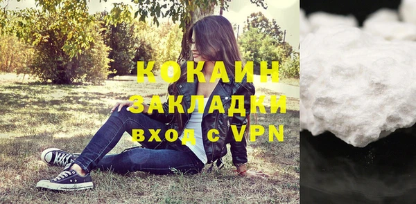 сатива Козловка