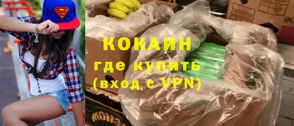сатива Козловка