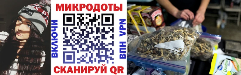 Галлюциногенные грибы Cubensis  Купить где  Балтийск 